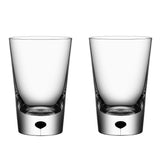 Orrefors - Metropol tumbler 23cl Black (2-pack)